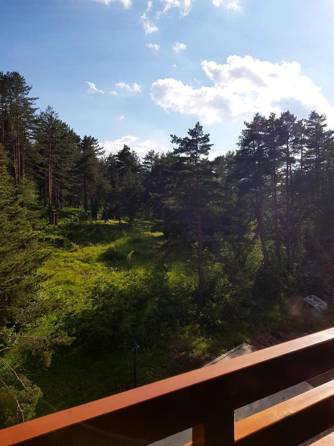 Zlatibor Holiday, Vila Leonardo VI Exterior foto